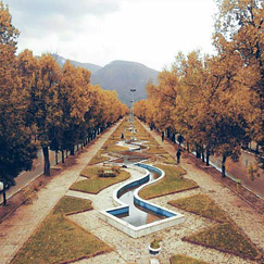 کرمانشاه